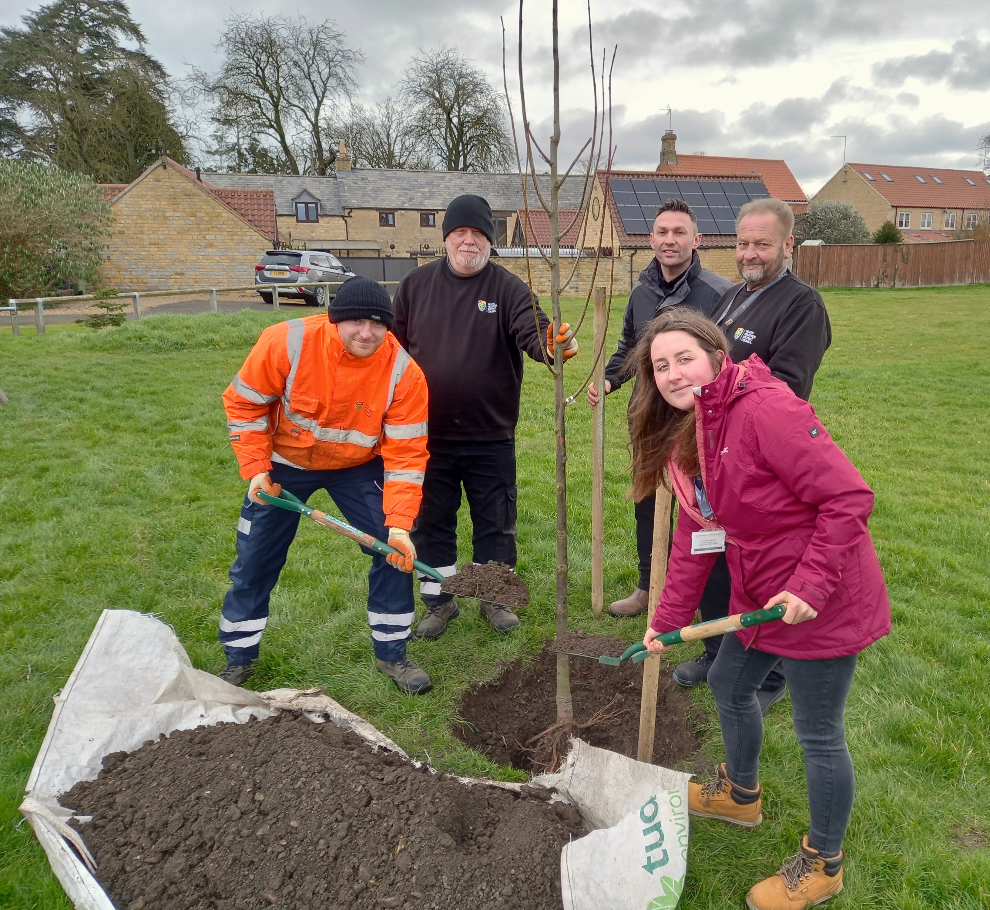 Tattershall Drive tree planting